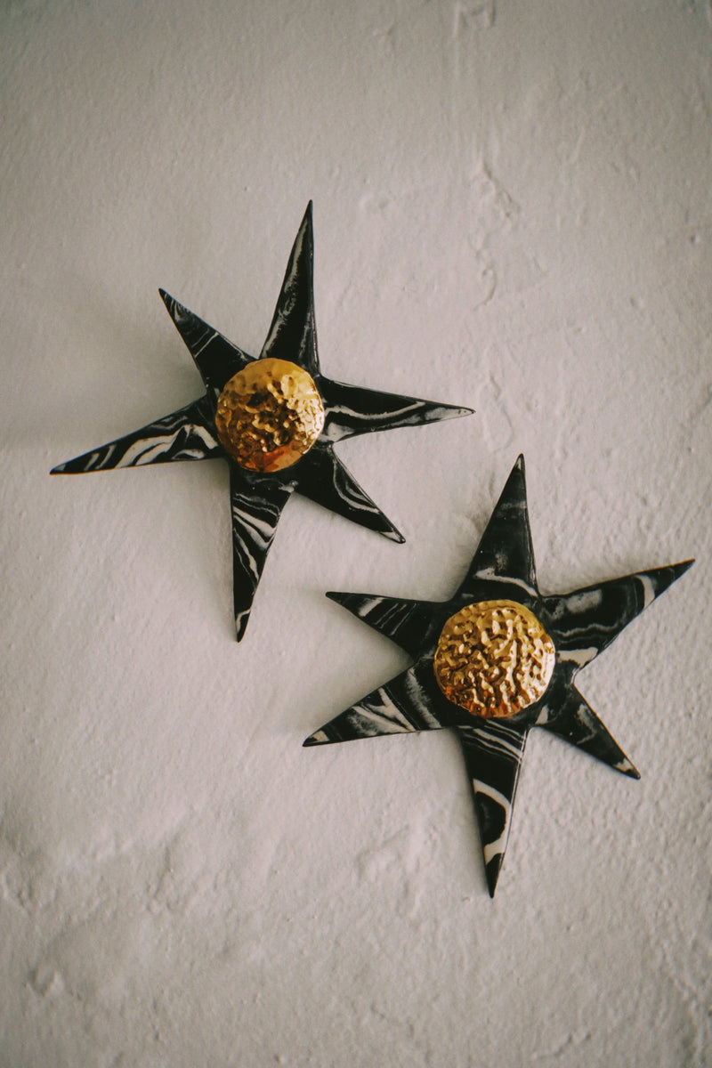Two marbled star wallflowers with gold lustre centres on a white wall