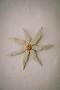 Wallflower by Tantri Mustika